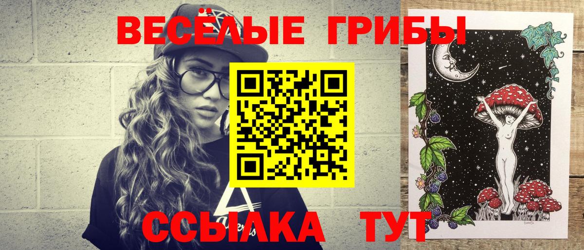 Галлюциногенные грибы Psilocybine cubensis Коркино